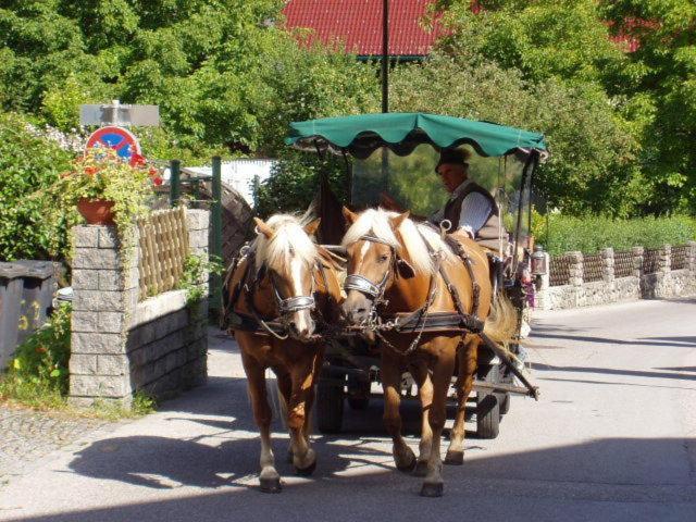 Schafberg Apartments Sankt Wolfgang im Salzkammergut Экстерьер фото